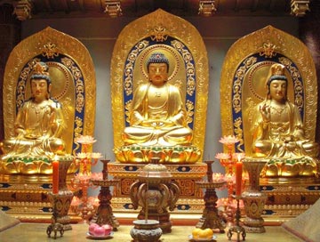 Buddhist Pilgrimage Tour from Delhi