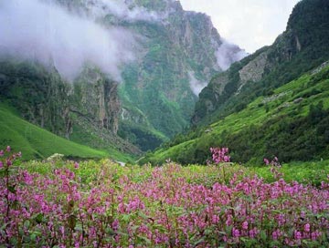 uttranchal valley of flowers tour