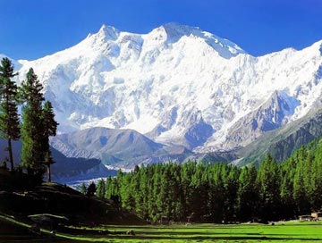 holiday kashmir tour India